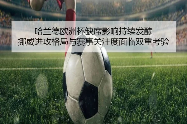 哈兰德欧洲杯缺席影响持续发酵 挪威进攻格局与赛事关注度面临双重考验 | kaiyun